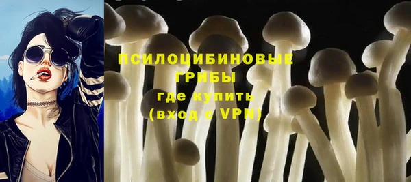 героин Богданович