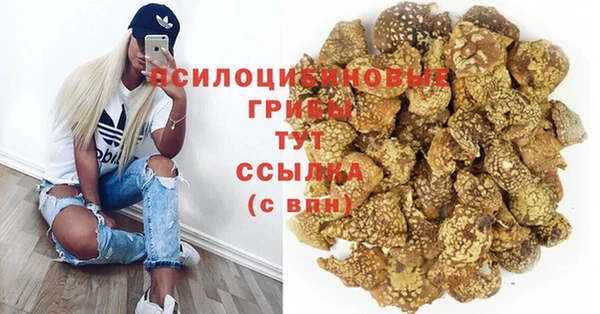 a pvp Богородицк