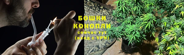 героин Богданович