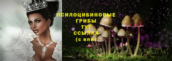 героин Богданович