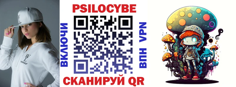 Купить закладки  Няндома  Галлюциногенные грибы GOLDEN TEACHER 