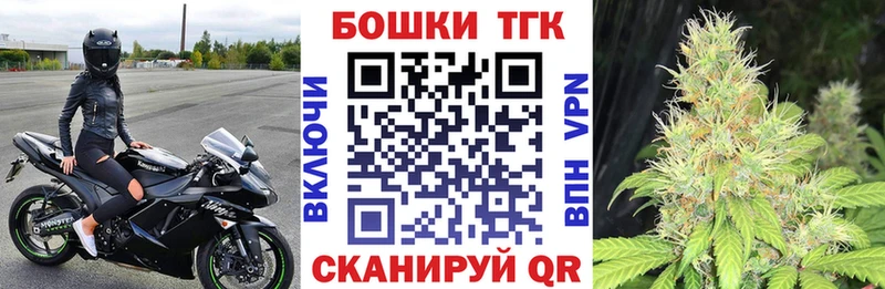 Конопля MAZAR  Купить закладки  Няндома 